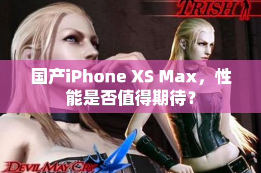 国产iPhone XS Max，性能是否值得期待？
