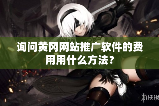 询问黄冈网站推广软件的费用用什么方法？