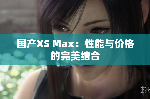 国产XS Max：性能与价格的完美结合