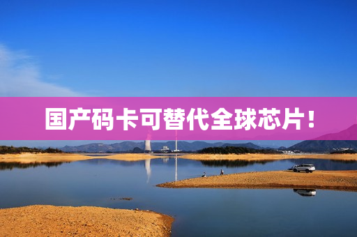 国产码卡可替代全球芯片！