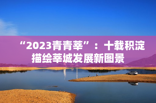 “2023青青莘”：十载积淀描绘莘城发展新图景