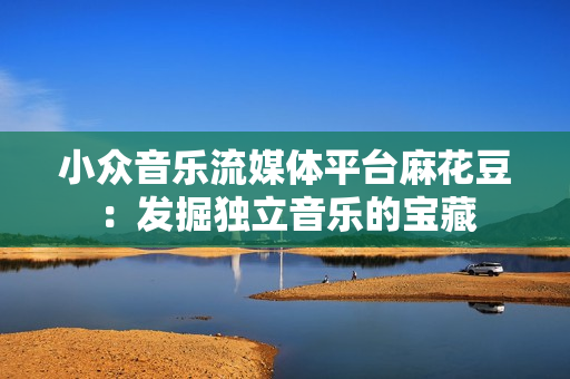 小众音乐流媒体平台麻花豆：发掘独立音乐的宝藏