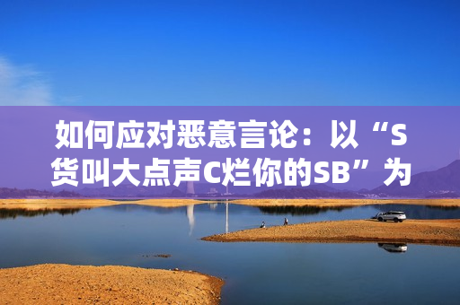 如何应对恶意言论：以“S货叫大点声C烂你的SB”为例