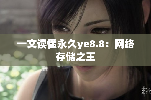 一文读懂永久ye8.8：网络存储之王