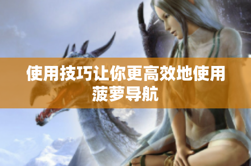 使用技巧让你更高效地使用菠萝导航