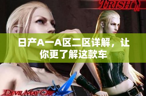 日产A一A区二区详解，让你更了解这款车