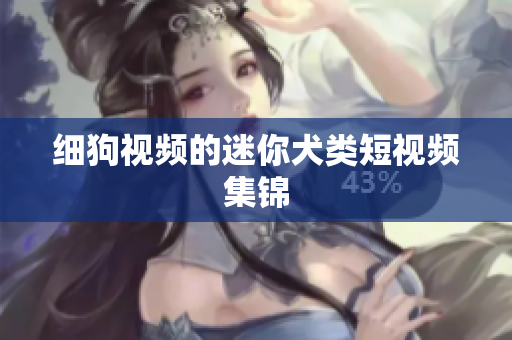 细狗视频的迷你犬类短视频集锦