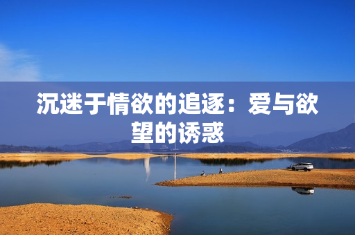 沉迷于情欲的追逐：爱与欲望的诱惑