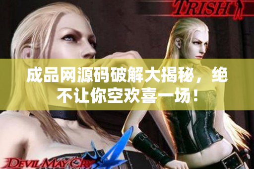 成品网源码破解大揭秘，绝不让你空欢喜一场！