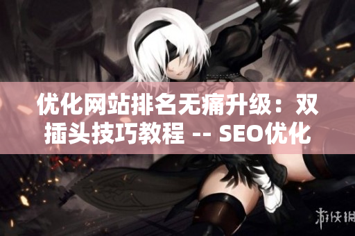 优化网站排名无痛升级：双插头技巧教程 -- SEO优化：双插头技巧升级指南