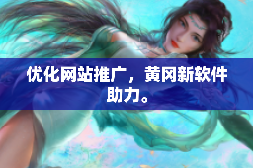 优化网站推广，黄冈新软件助力。