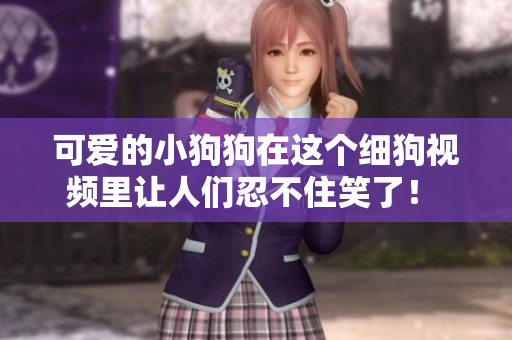 可爱的小狗狗在这个细狗视频里让人们忍不住笑了！ 令人捧腹的小狗狗视频，欢乐无限！