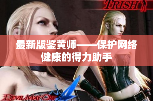 最新版鉴黄师——保护网络健康的得力助手