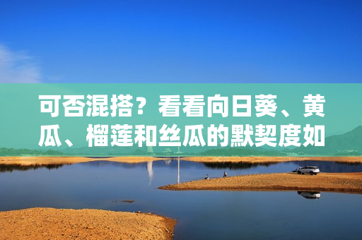 可否混搭？看看向日葵、黄瓜、榴莲和丝瓜的默契度如何！