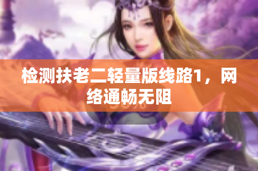检测扶老二轻量版线路1，网络通畅无阻