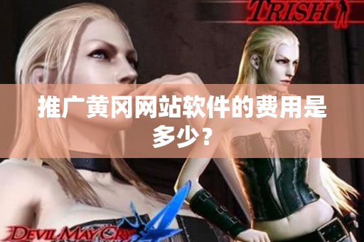 推广黄冈网站软件的费用是多少？