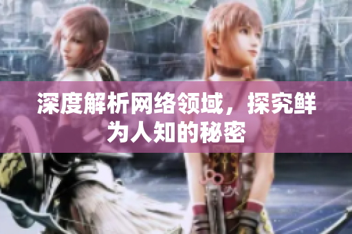 深度解析网络领域，探究鲜为人知的秘密