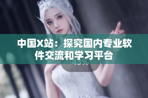 中国X站：探究国内专业软件交流和学习平台