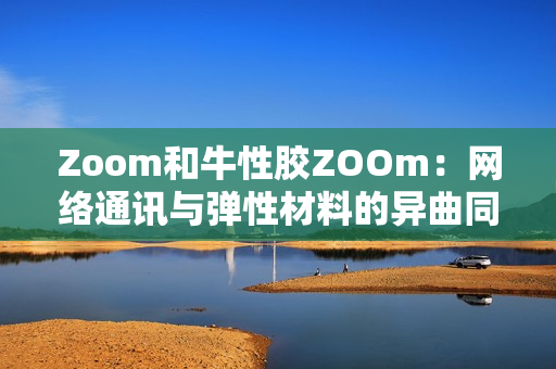 Zoom和牛性胶ZOOm：网络通讯与弹性材料的异曲同工