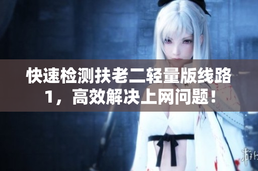 快速检测扶老二轻量版线路1，高效解决上网问题！