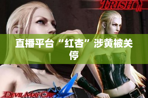 直播平台“红杏”涉黄被关停