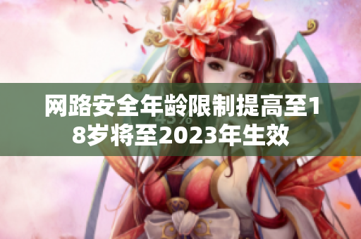 网路安全年龄限制提高至18岁将至2023年生效
