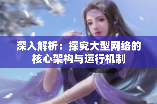 深入解析：探究大型网络的核心架构与运行机制