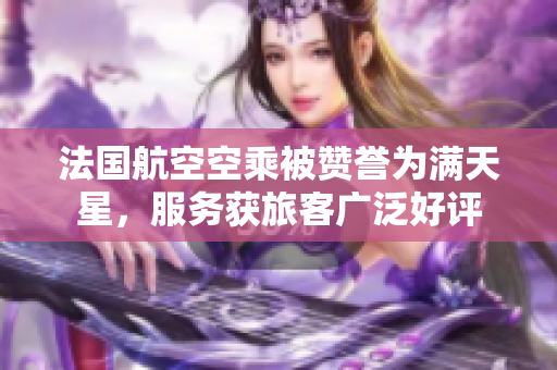法国航空空乘被赞誉为满天星，服务获旅客广泛好评
