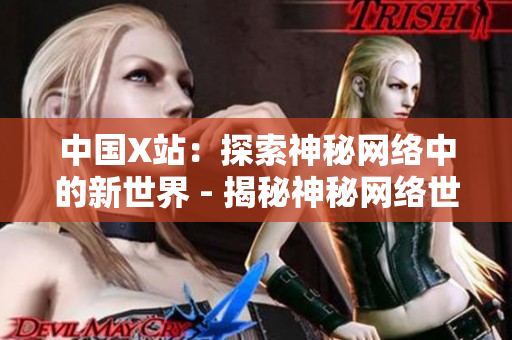 中国X站：探索神秘网络中的新世界 - 揭秘神秘网络世界：中国X站