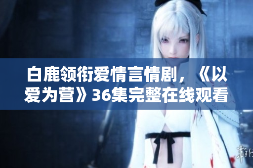 白鹿领衔爱情言情剧，《以爱为营》36集完整在线观看