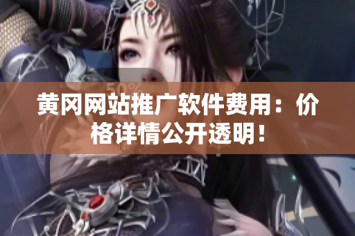 黄冈网站推广软件费用：价格详情公开透明！