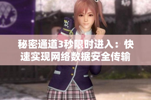 秘密通道3秒限时进入：快速实现网络数据安全传输