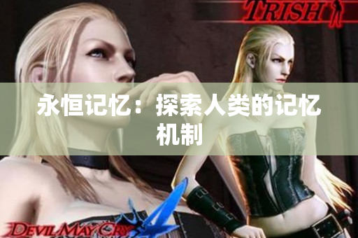 永恒记忆：探索人类的记忆机制