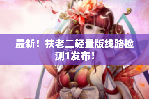 最新！扶老二轻量版线路检测1发布！