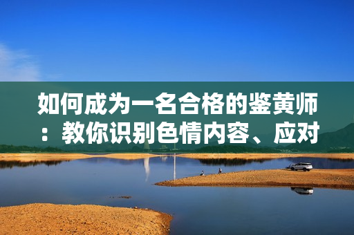 如何成为一名合格的鉴黄师：教你识别色情内容、应对工作难点
