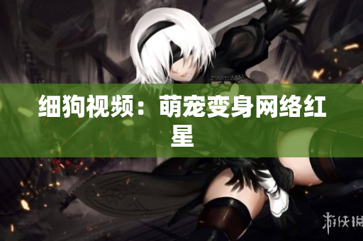 细狗视频：萌宠变身网络红星