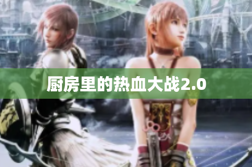 厨房里的热血大战2.0