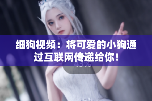 细狗视频：将可爱的小狗通过互联网传递给你！