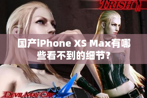 国产iPhone XS Max有哪些看不到的细节？
