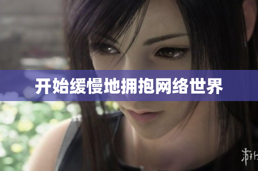 开始缓慢地拥抱网络世界