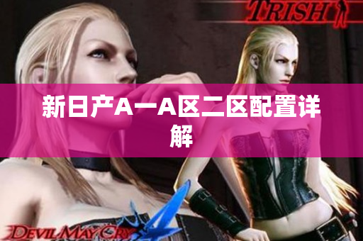 新日产A一A区二区配置详解