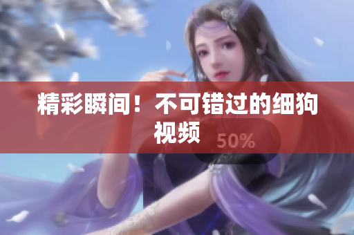 精彩瞬间！不可错过的细狗视频