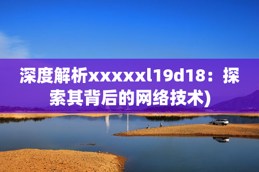 深度解析xxxxxl19d18：探索其背后的网络技术)