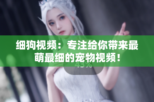 细狗视频：专注给你带来最萌最细的宠物视频！