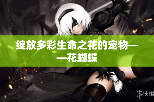 绽放多彩生命之花的宠物——花蝴蝶