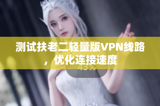 测试扶老二轻量版VPN线路，优化连接速度