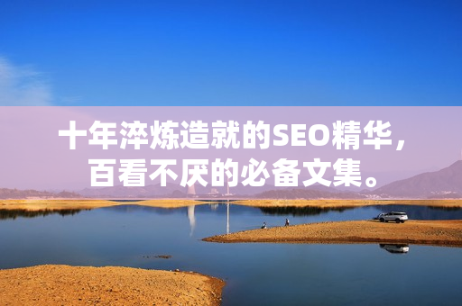十年淬炼造就的SEO精华，百看不厌的必备文集。