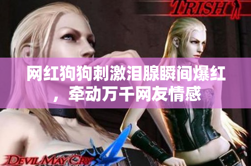网红狗狗刺激泪腺瞬间爆红，牵动万千网友情感