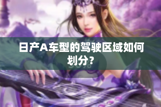 日产A车型的驾驶区域如何划分？