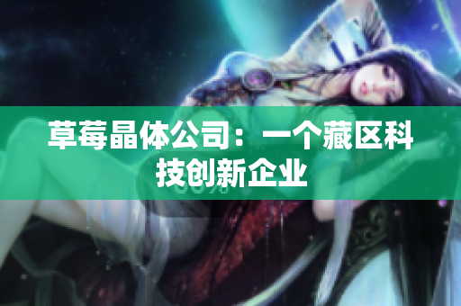 草莓晶体公司：一个藏区科技创新企业